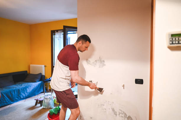Best Mold Remediation for Schools in Haymarket, VA