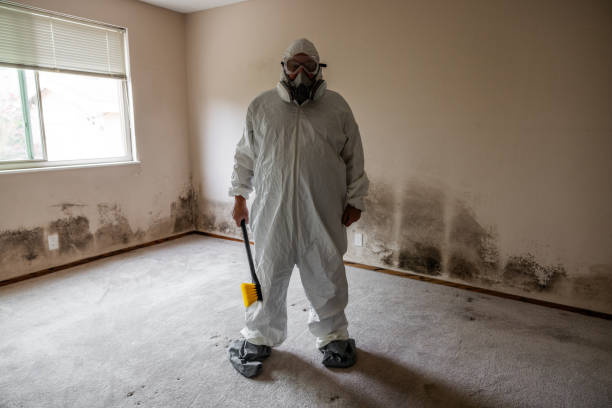 Best Post-Remediation Services in Haymarket, VA